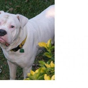 Meet your Posher, Richard